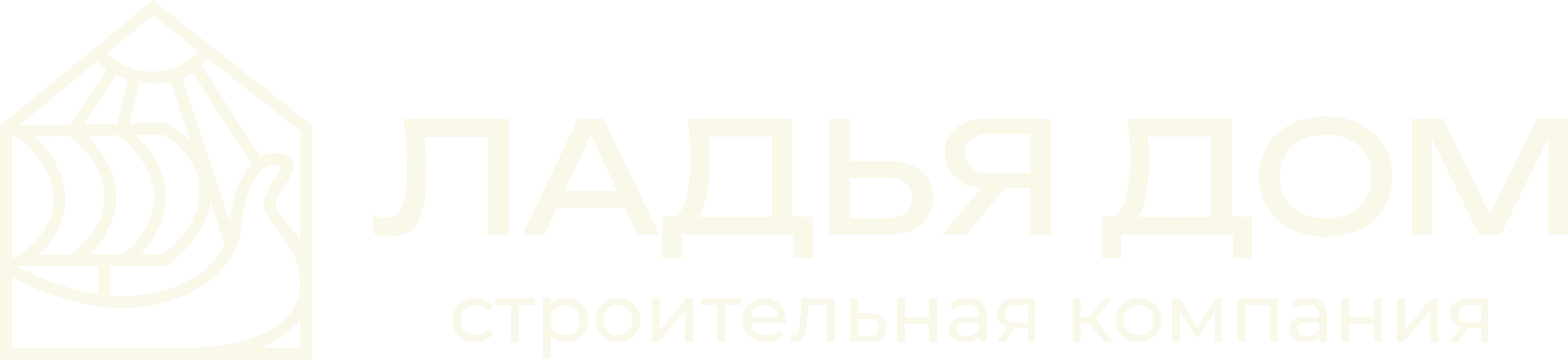ЛАДЬЯ ДОМ